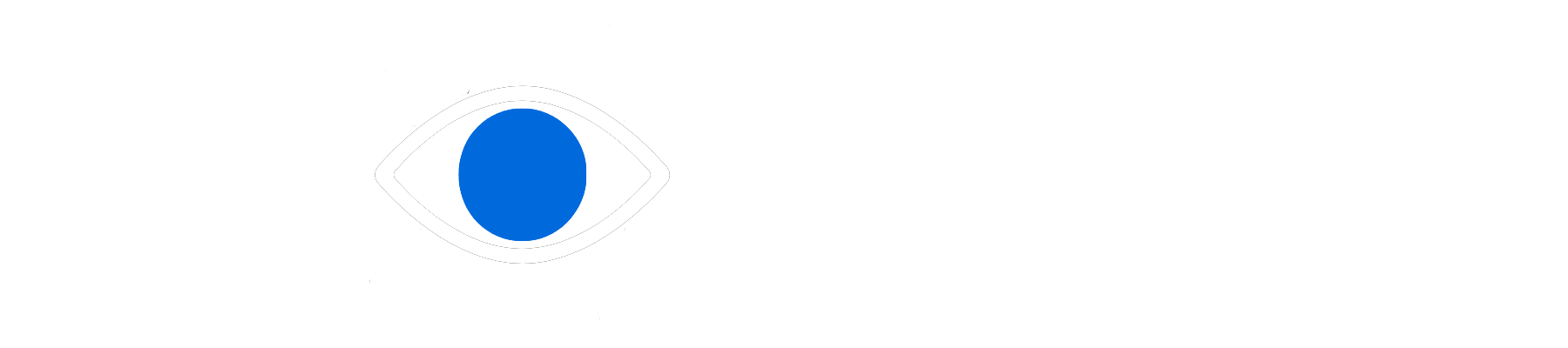 LP Vision